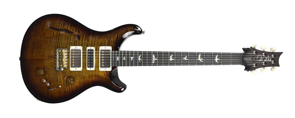 PRS Special Semi Hollow Electric Guitar in Black Gold
