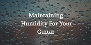Maintaining Humidity for your Guitar | The Music Gallery