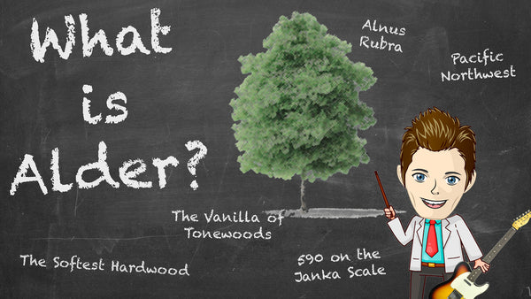 What is Alder? Learn about this tonewood for guitar