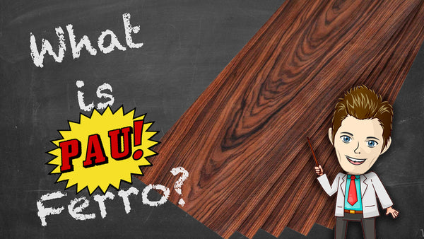What is Pau Ferro?