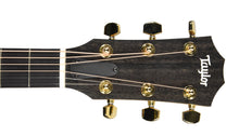 Taylor 217e-SB Plus Limited 50th Anniversary Acoustic-Electric Guitar in Tobacco Sunburst 2202294327 - The Music Gallery