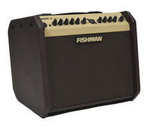 Used Fishman LBX500 Loudbox Mini Acoustic Guitar Amplifier E260873 - The Music Gallery