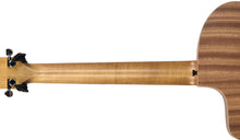 Taylor 24ce Acoustic-Electric Guitar in Natural 2210215201 - The Music Gallery