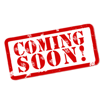 Martin 000 Jr E Sapele Acoustic-Electric Guitar in Natural 2962968 - The Music Gallery