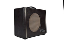 Carr Mercury V 1X12" Combo Guitar Amplifier in Brown Gator 01190 - The Music Gallery