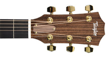 Taylor Legacy 514ce Acoustic-Electric Guitar in Natural 1203275067