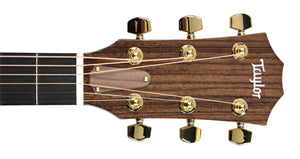 Taylor Legacy 514ce Acoustic-Electric Guitar in Natural 1203275067