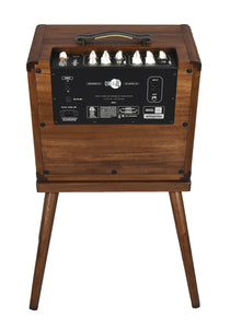 Taylor Circa 74 Mahogany Acoustic Guitar Amplifier C7403247