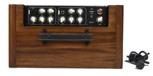 Taylor Circa 74 Mahogany Acoustic Guitar Amplifier C7403247