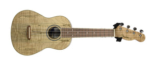 Fender Zuma Exotic Concert Ukulele in Natural Spalted Maple CYN2158688 - The Music Gallery