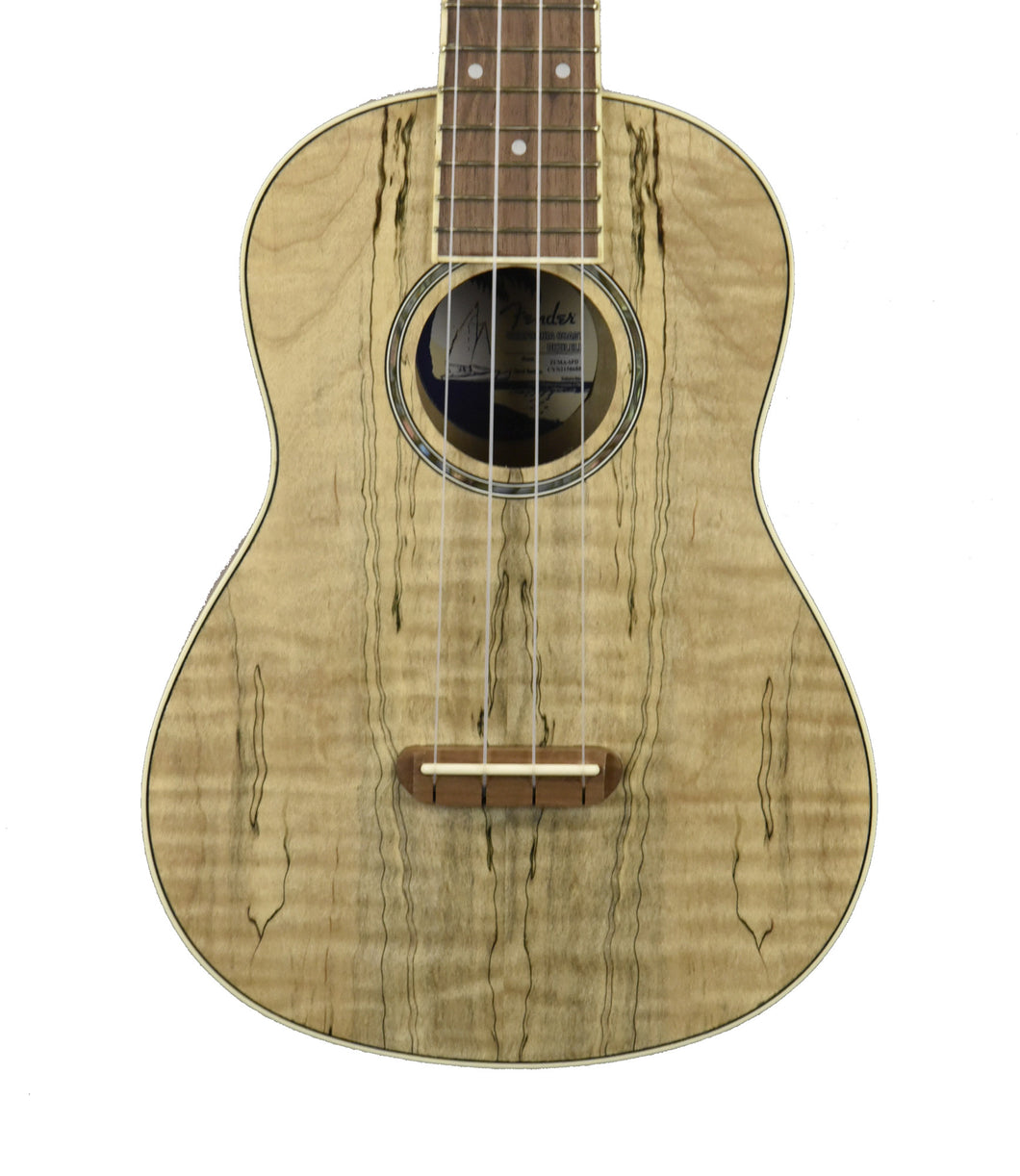 Fender Zuma Exotic Concert Ukulele in Natural Spalted Maple CYN2158688 - The Music Gallery