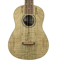 Fender Zuma Concert Ukulele in Natural Sapele CYN2305121 - The Music Gallery