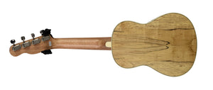 Fender Zuma Exotic Concert Ukulele in Natural Spalted Maple CYN2158688 - The Music Gallery