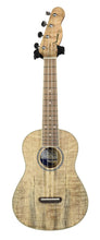 Fender California Coast Zuma Exotic Concert Ukulele in Natural Spalted Maple CYN2158798