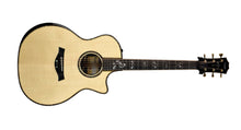 Taylor 914ce Special Edition Acoustic-Electric Guitar in Natural 1207243064 - The Music Gallery