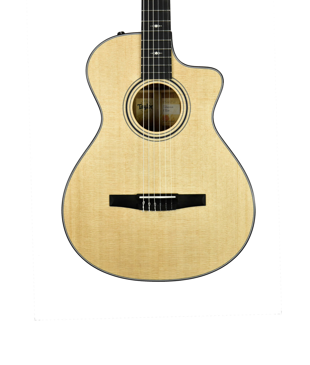 Taylor 312ce-N Acoustic-Electric Guitar in Natural 1203203013 - The Music Gallery