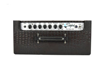 Carr Skylark 1x12 Combo Amplifier in Brown Gator 0967 - The Music Gallery