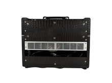 Carr Skylark 1x12 Combo Amplifier in Brown Gator 0967 - The Music Gallery