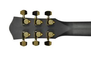 McPherson Sable Carbon Fiber Acoustic-Electric in Honeycomb 12181 - The Music Gallery