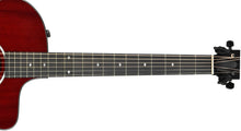 Taylor 224ce Deluxe Ltd. Acoustic-Electric Guitar in Trans Red 2204063365 - The Music Gallery