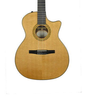 Used 2010 Taylor NS74ce Acoustic-Electric Guitar in Natural 1108200112 - The Music Gallery