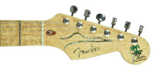 Fender Custom Shop The Complete Diamond Collection - The Music Gallery