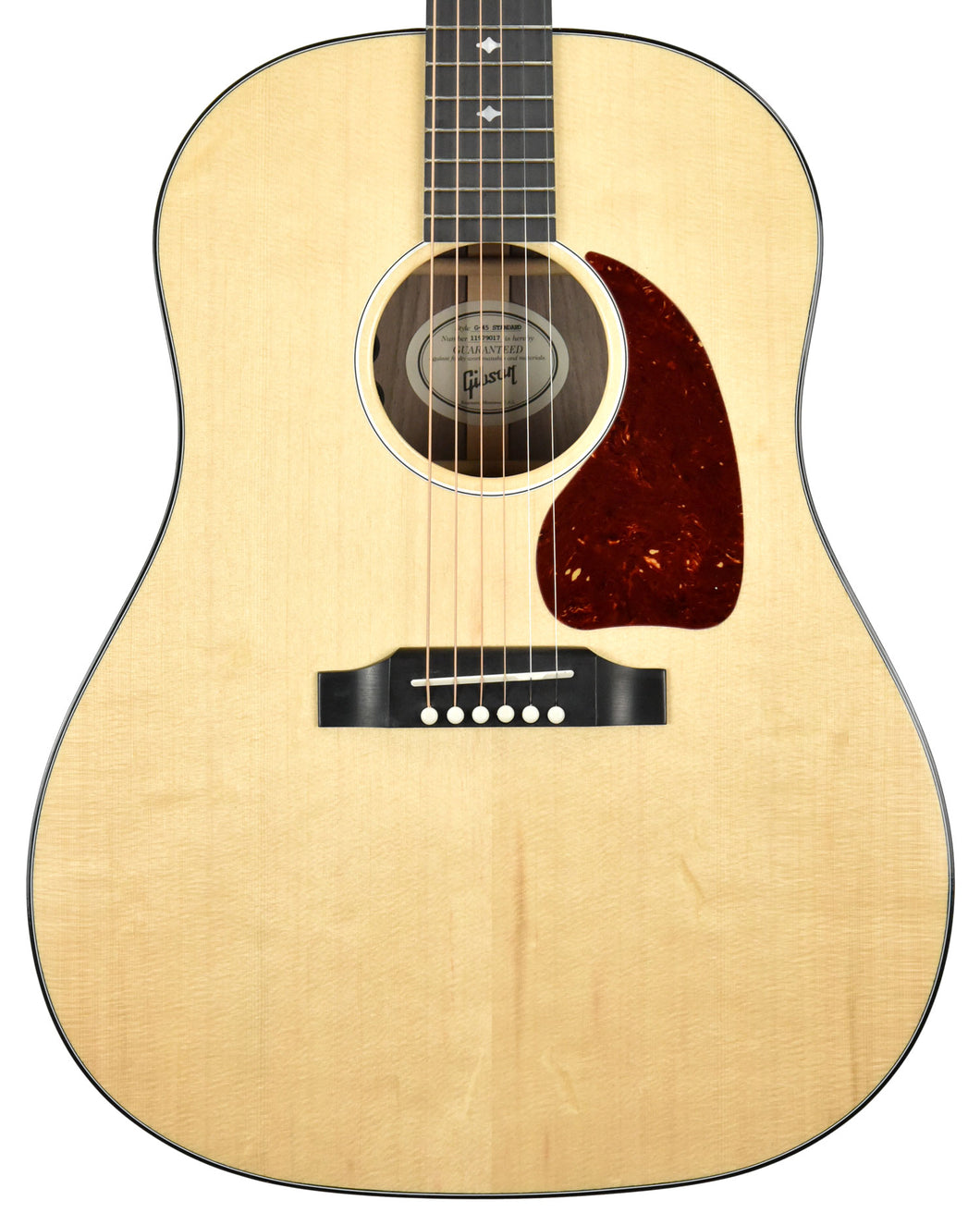 Gibson Montana G-45 Standard Acoustic Electric 11979017 - The Music Gallery