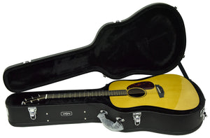 RainSong Vintage Series Acoustic Guitar V-DR1100N2 19640 - The Music Gallery