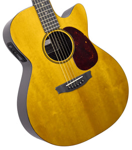Rainsong V-WS1000N2X Carbon Fiber Hybrid Acoustic-Electric 20195 - The Music Gallery