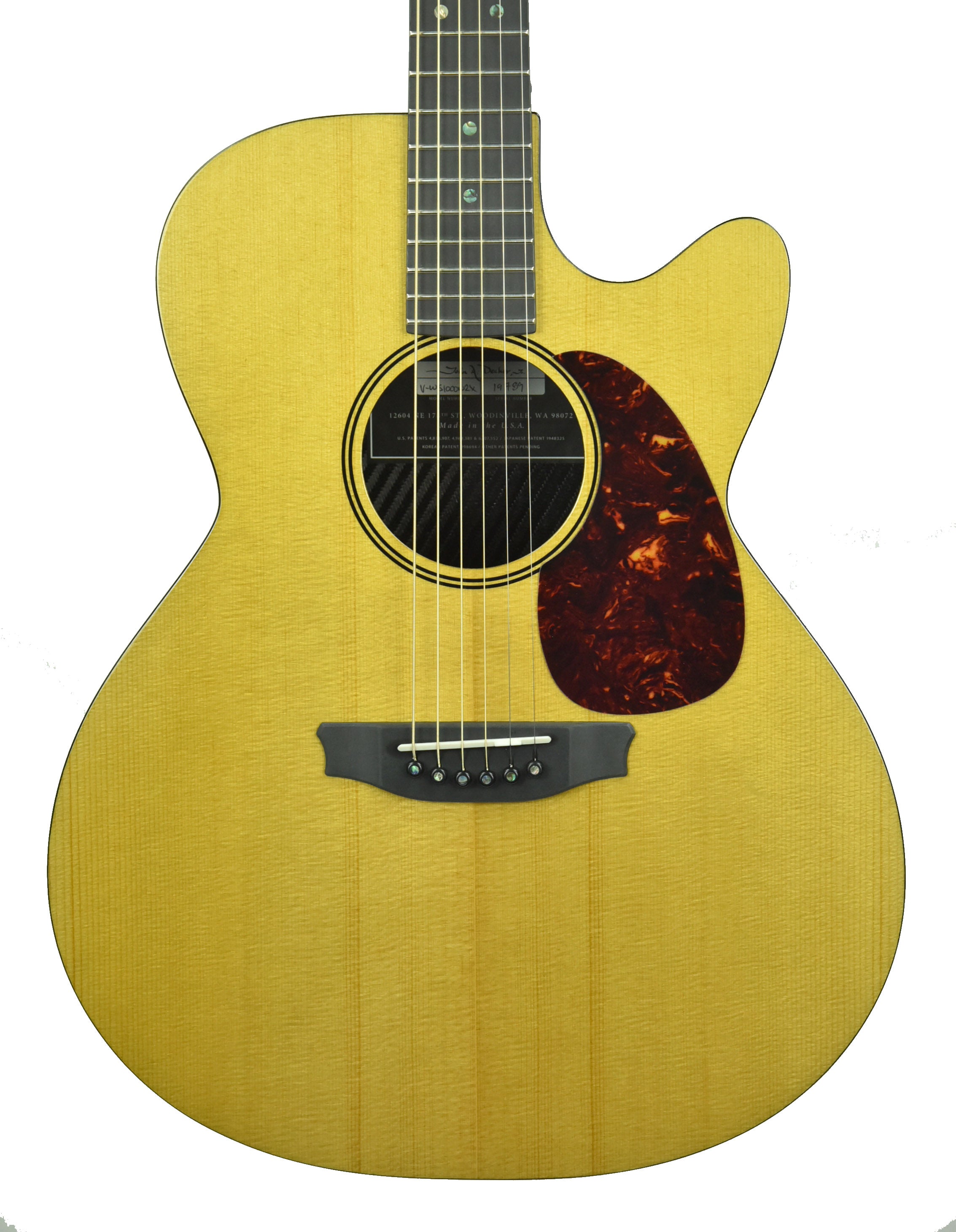 Rainsong V-WS1000N2X Vintage Series Hybrid Acoustic Guitar 19789