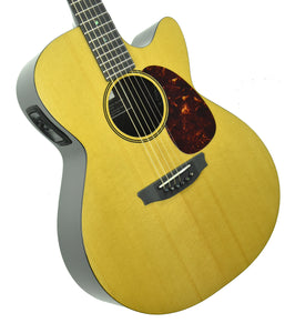 Rainsong V-WS1000N2X Vintage Series Hybrid Acoustic Guitar 19789 - The Music Gallery