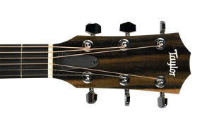 Taylor 214ce Acoustic-Electric Guitar in Natural 2205132073 - The Music Gallery