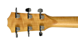 Taylor 214ce Acoustic-Electric Guitar in Natural 2205132073 - The Music Gallery