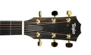 Taylor 224ce-K Deluxe Hawaiian Koa Acoustic-Electric Guitar 2205112105 - The Music Gallery