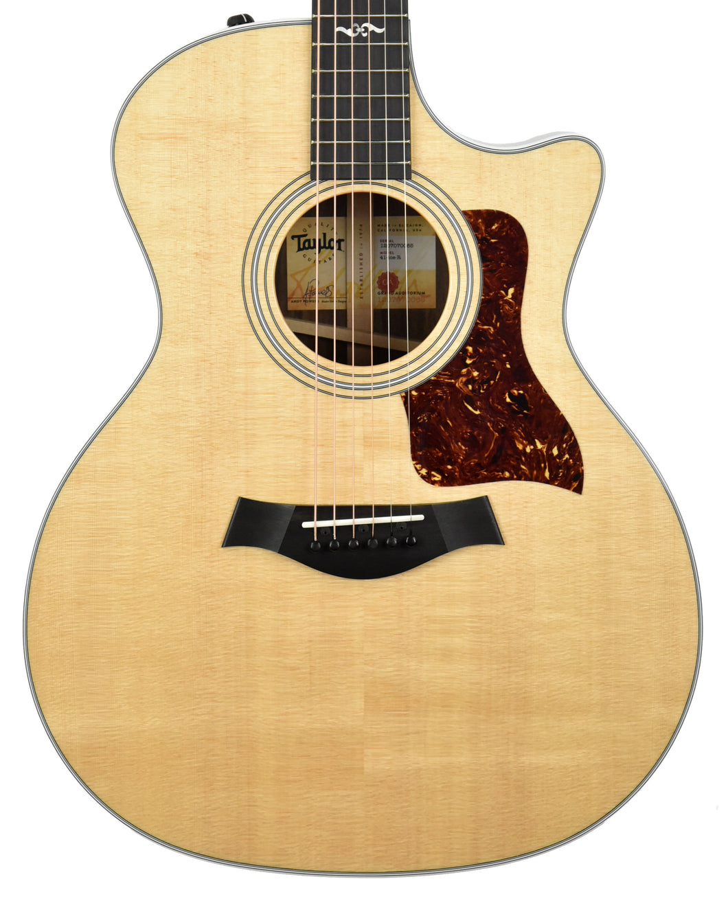 Taylor 414ce-R Acoustic-Electric Guitar 1207070065 - The Music Gallery