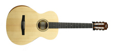Taylor Academy 12-N Acoustic Guitar in Natural 2205292384