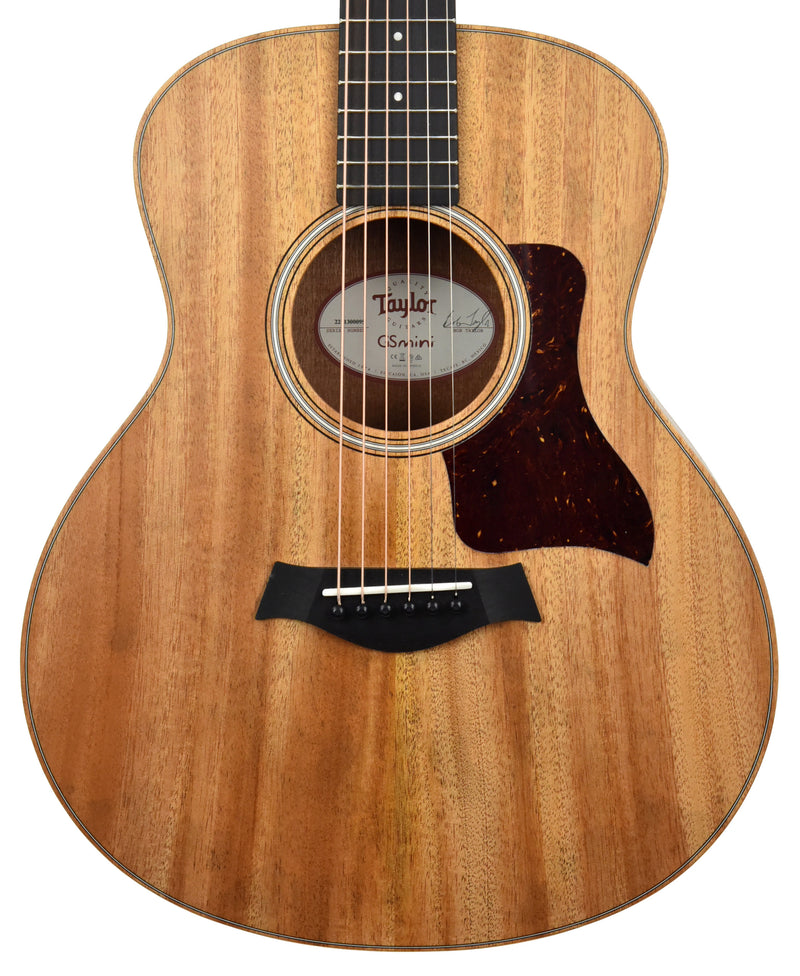 GS Mini Mahogany Layered Sapele Acoustic Guitar | Taylor Guitars