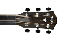 Taylor 512ce Urban Ironbark Acoustic-Electric Guitar in Shaded Edge Burst 1209272126 - The Music Gallery