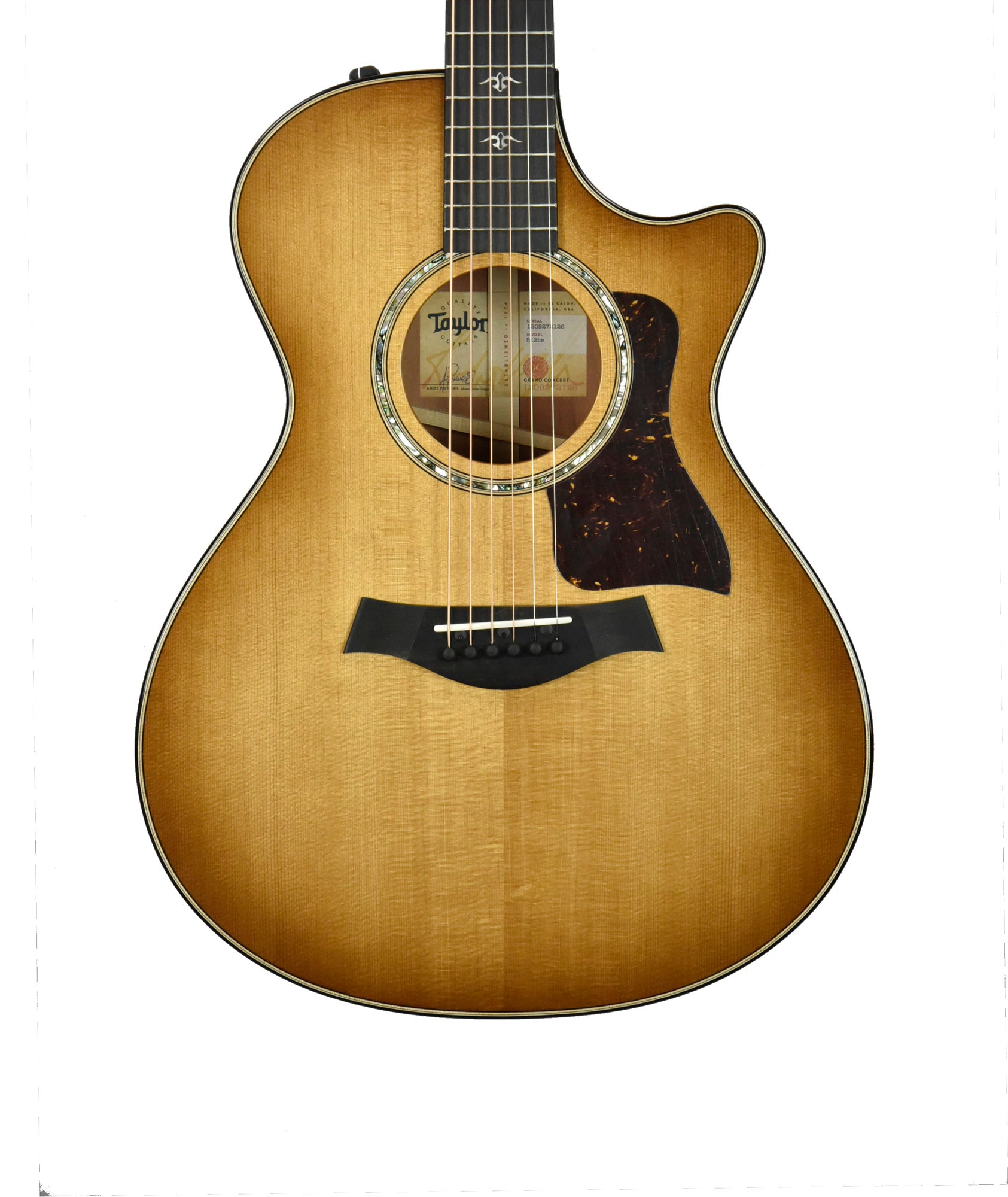 Taylor 512ce Urban Ironbark Acoustic-Electric Guitar in Shaded